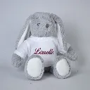 Grijs knuffelkonijn met naam.webp